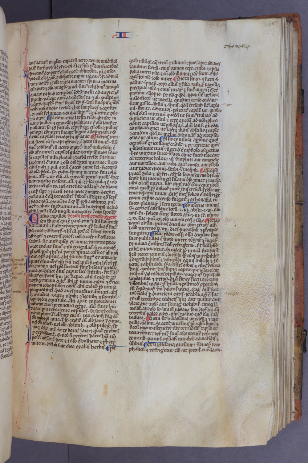 Folio 35 recto